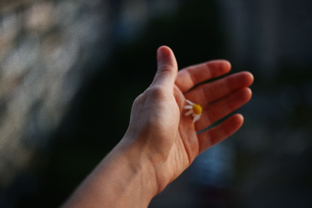 丞磊林允好嗑成这样 眼神拉丝甜度爆表